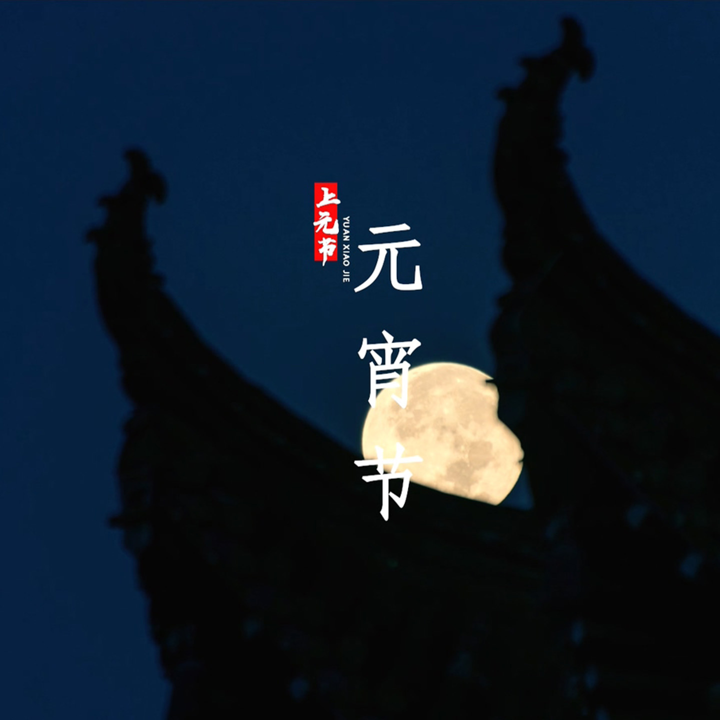 京东元宵节