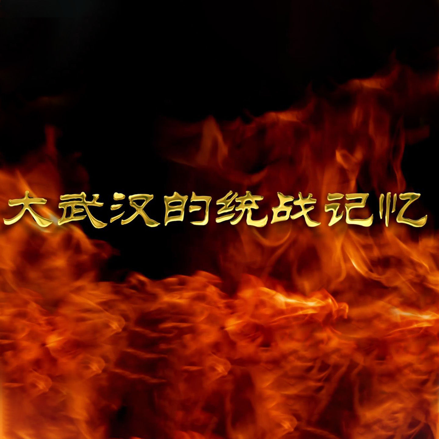 大武汉的统战记忆