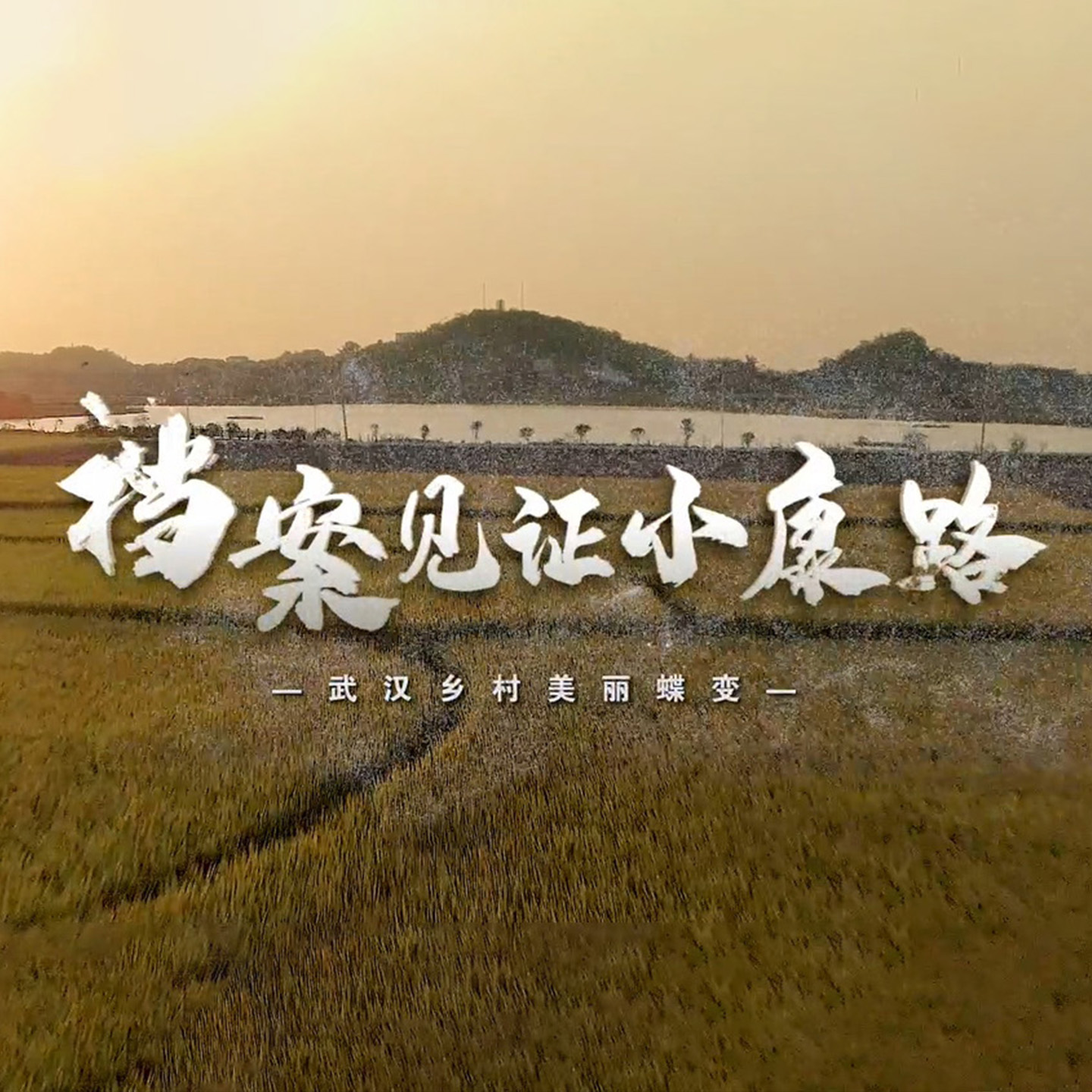 档案见证小康路